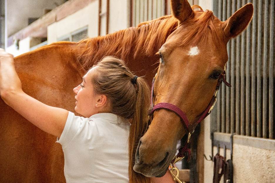 Woman taking care of her horse