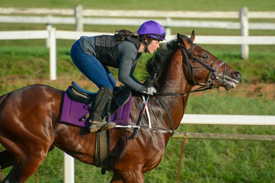 Woman in a blue helmet riding a horse