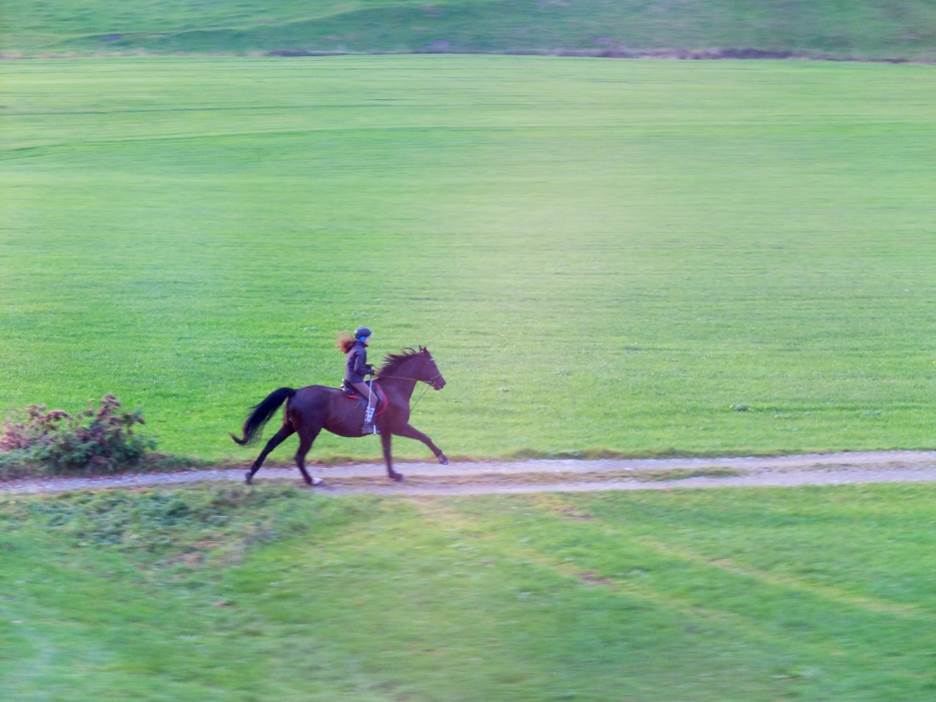 Woman galavanting on a horse 