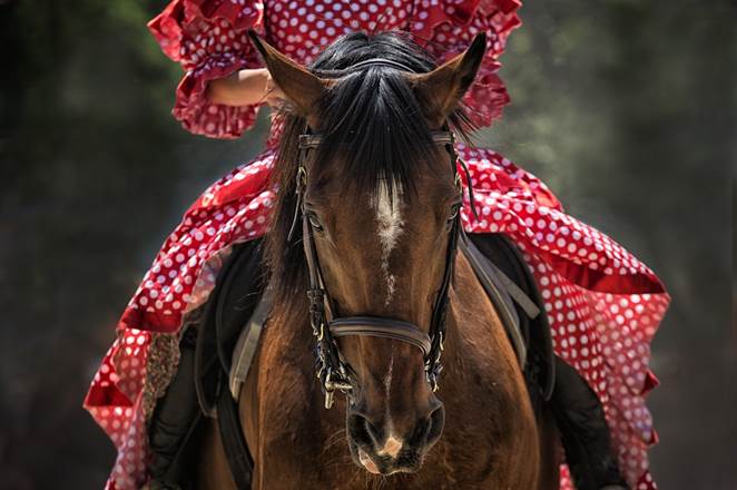 A woman riding a horse confidently.