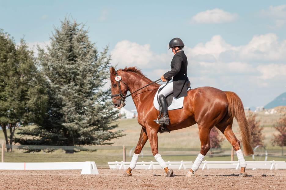 A rider on a sports horse